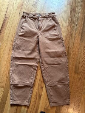 Everlane Tan Work Chinos